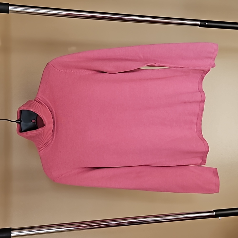 Loft Turtleneck Sweater
